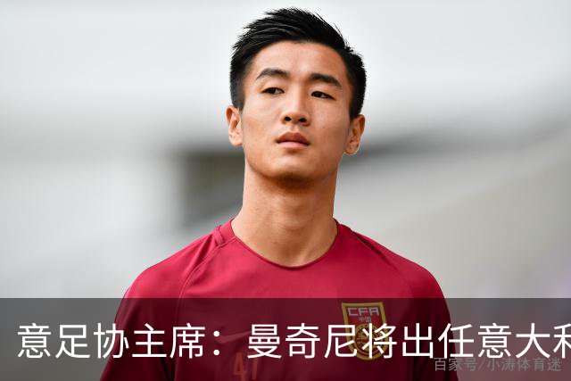 意足协主席：曼奇尼将出任意大利主帅 拉涅利任技术总监